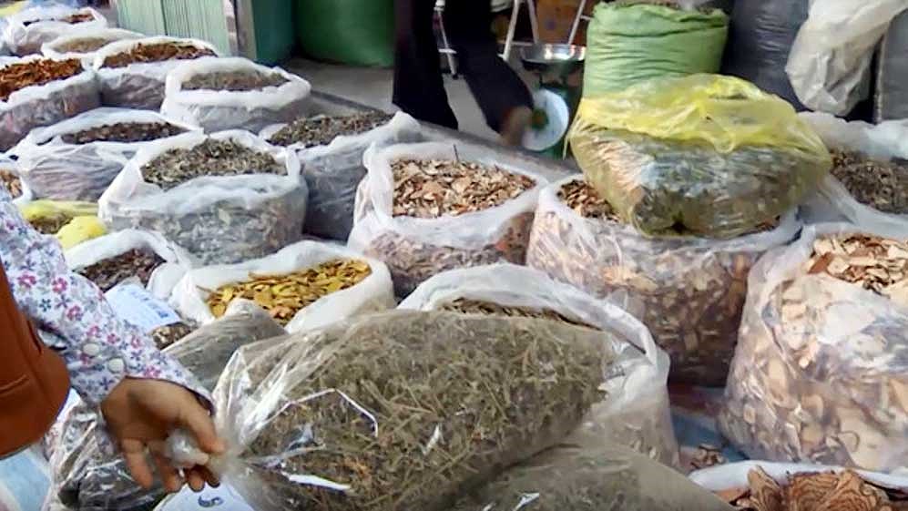 Tam thất kém chất lượng và rác dược liệu bán tràn lan ngoài thị trường